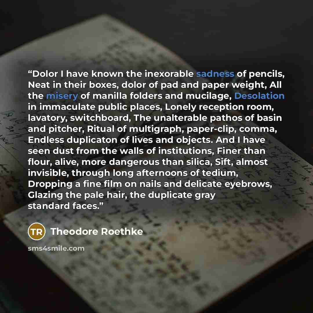 “Dolor I have known the inexorable sadness of pencils, Neat in their boxes, dolor of pad and paper weight, All the misery of manilla folders and mucilage, Desolation in immaculate public places, Lonely reception room, lavatory, switchboard, The unalterable pathos of basin and pitcher, Ritual of…” quote by Theodore Roethke