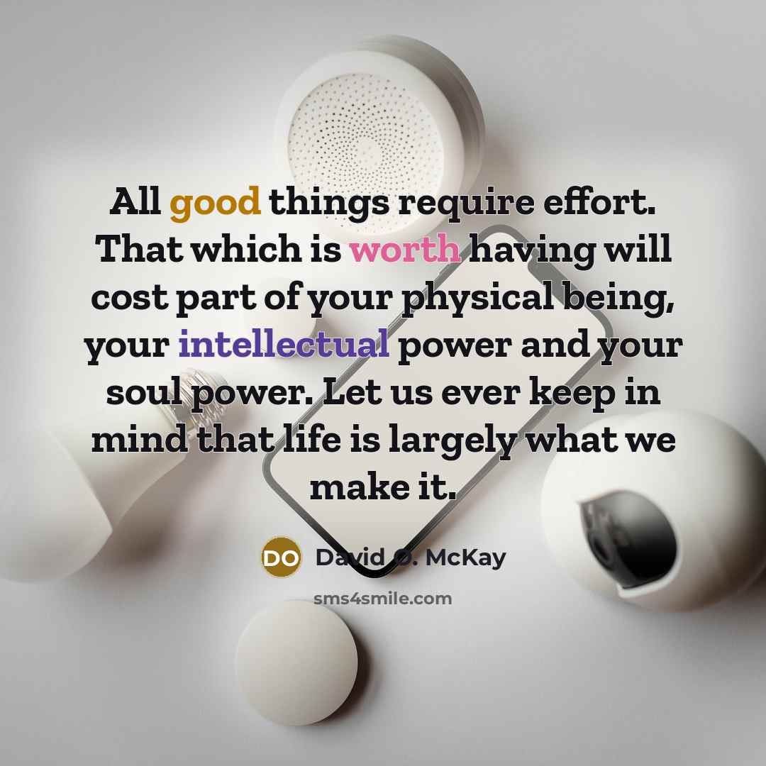 “All good things require effort. That which is worth having will cost part of your physical being, your intellectual power and your soul power. Let us ever keep in mind that life is largely what we make it.” quote by David O. McKay