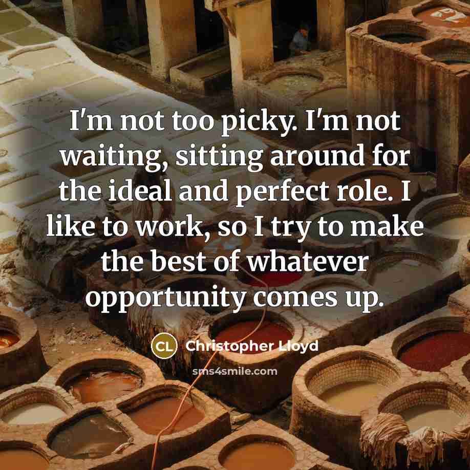 “I'm not too picky. I'm not waiting, sitting around for the ideal and perfect role. I like to work, so I try to make the best of whatever opportunity comes up.” quote by Christopher Lloyd