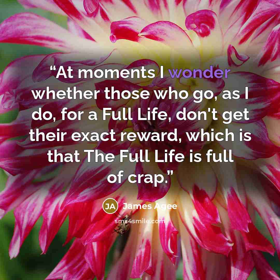 “At moments I wonder whether those who go, as I do, for a Full Life, don't get their exact reward, which is that The Full Life is full of crap.” quote by James Agee