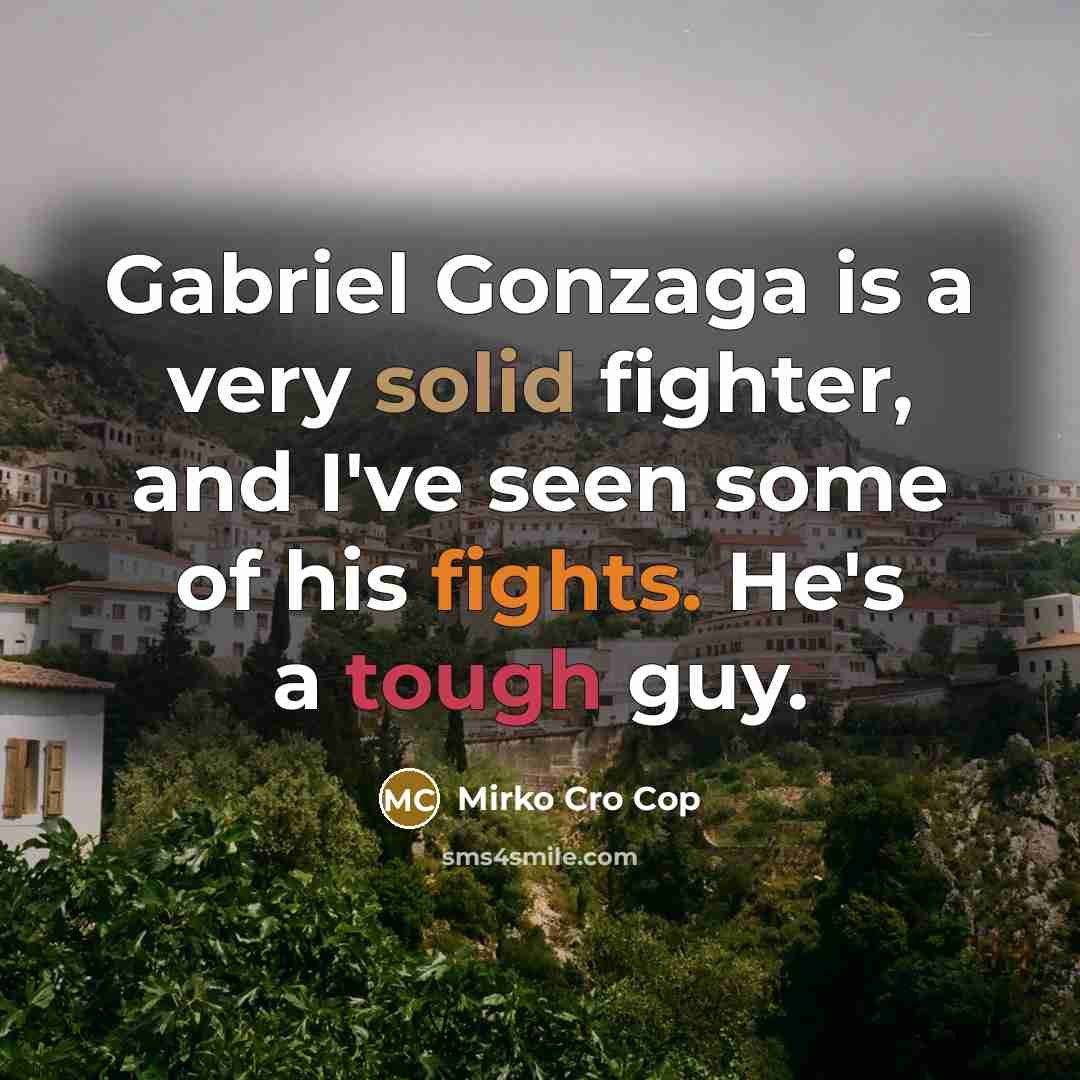 “Gabriel Gonzaga is a very solid fighter, and I've seen some of his fights. He's a tough guy.” quote by Mirko Cro Cop