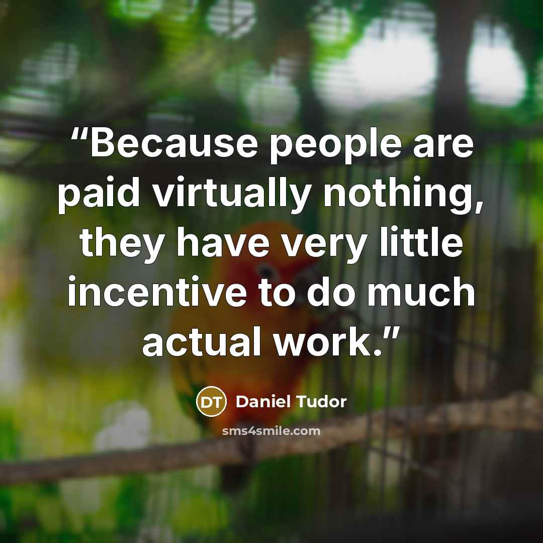 “Because people are paid virtually nothing, they have very little incentive to do much actual work.” quote by Daniel Tudor