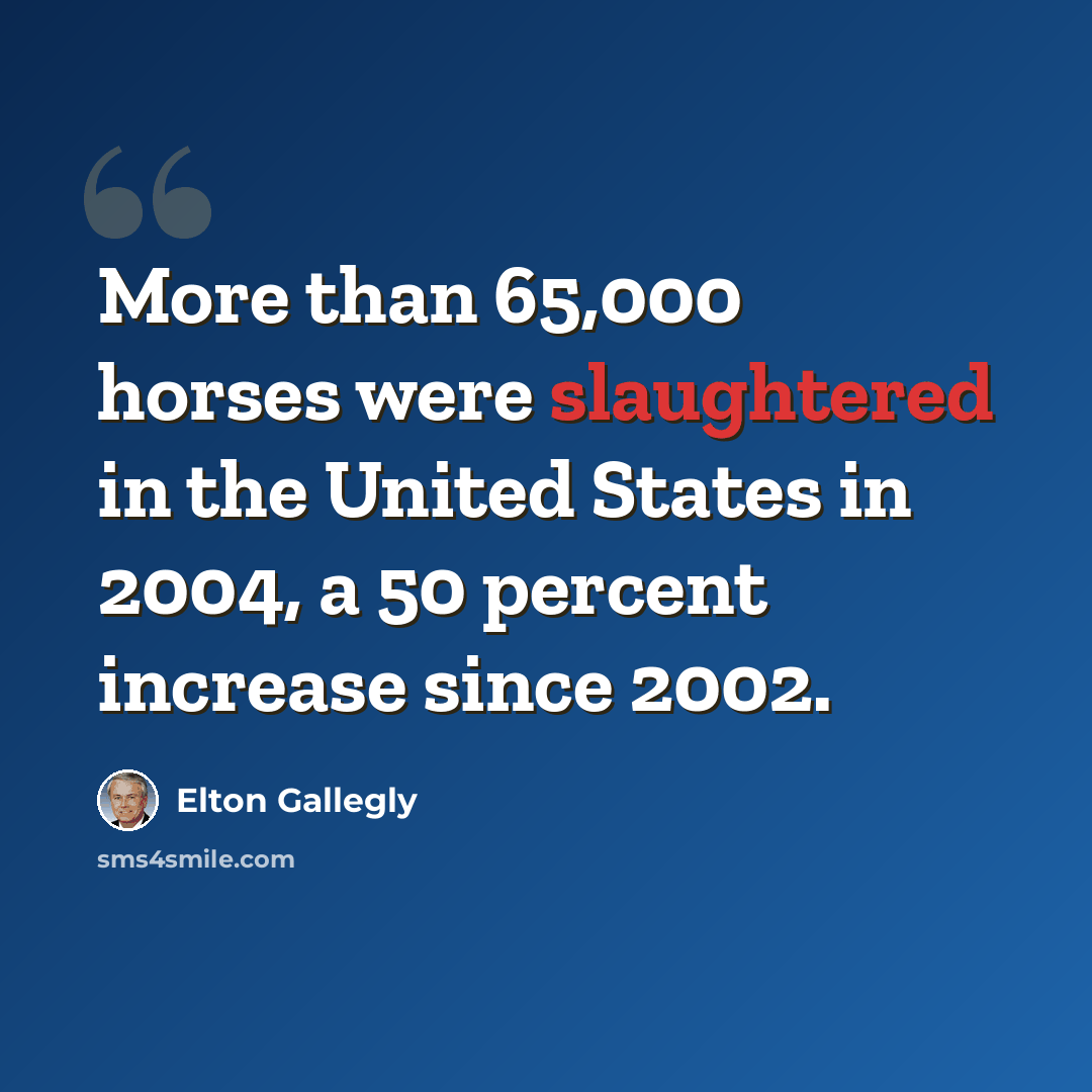 “More than 65,000 horses were slaughtered in the United States in 2004, a 50 percent increase since 2002.” quote by Elton Gallegly