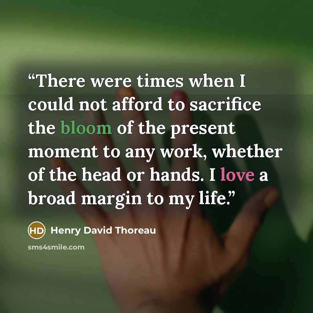 “There were times when I could not afford to sacrifice the bloom of the present moment to any work, whether of the head or hands. I love a broad margin to my life.” quote by Henry David Thoreau