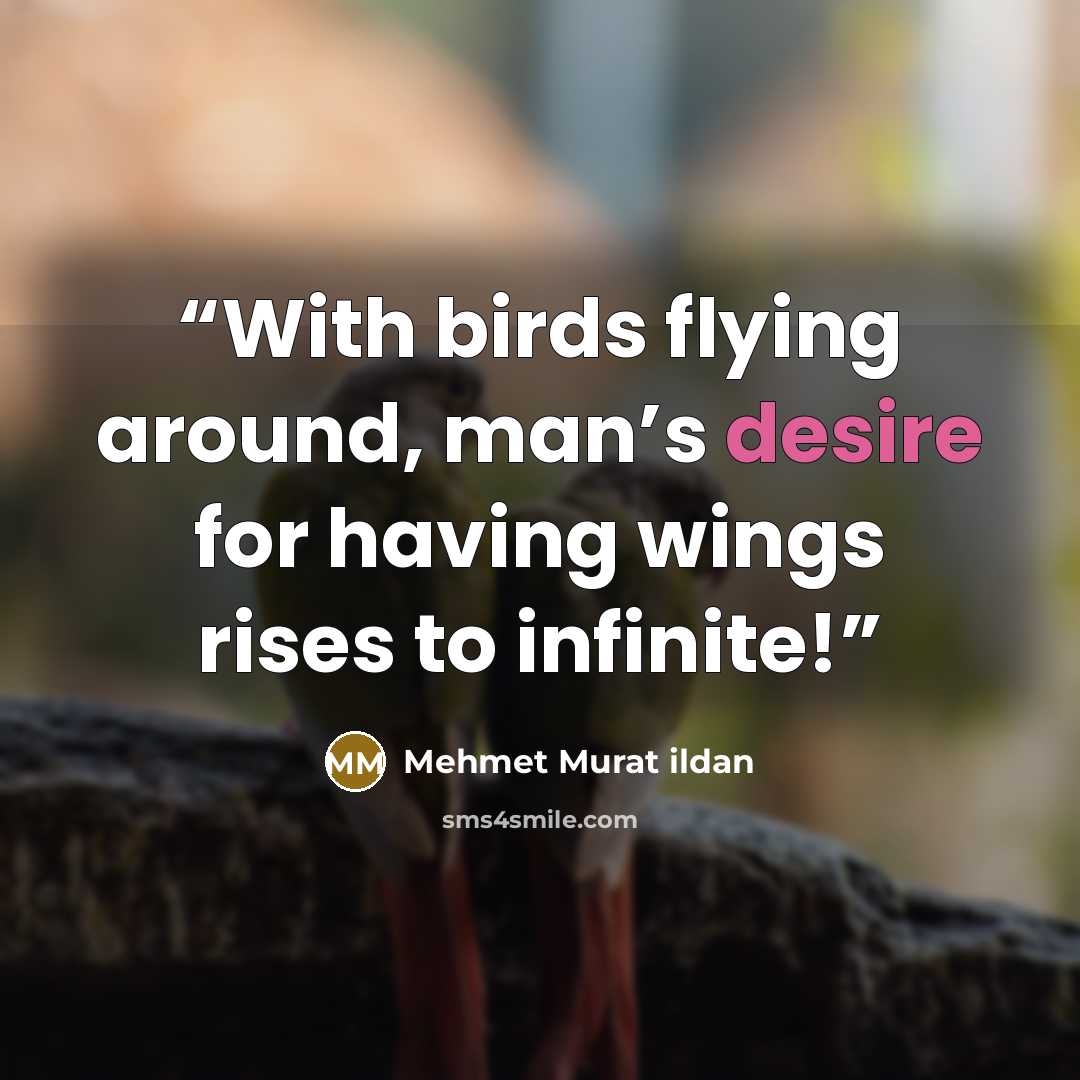 “With birds flying around, man’s desire for having wings rises to infinite!” quote by Mehmet Murat ildan