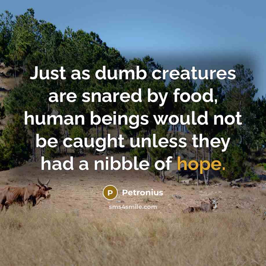 “Just as dumb creatures are snared by food, human beings would not be caught unless they had a nibble of hope.” quote by Petronius
