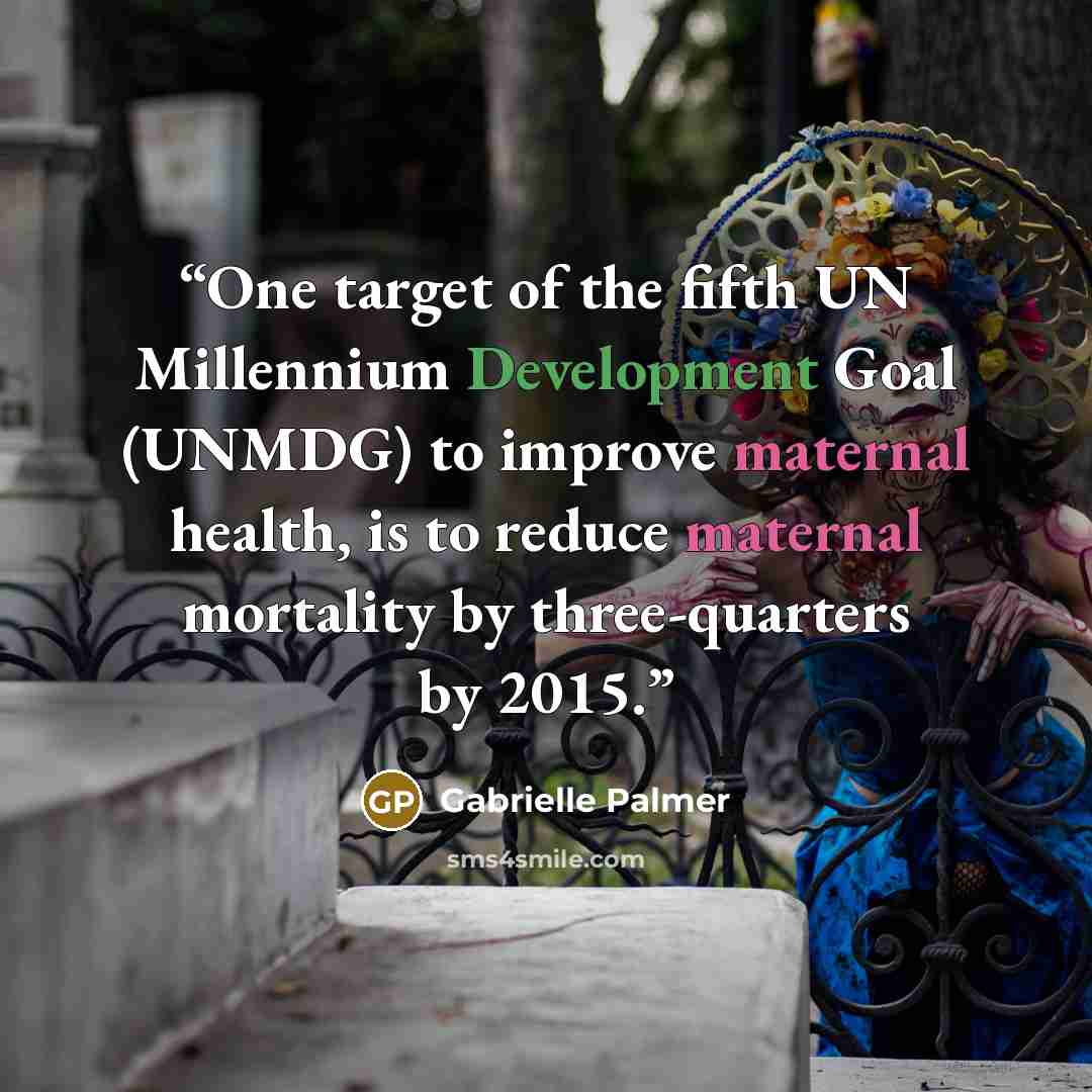 “One target of the fifth UN Millennium Development Goal (UNMDG) to improve maternal health, is to reduce maternal mortality by three-quarters by 2015.” quote by Gabrielle Palmer