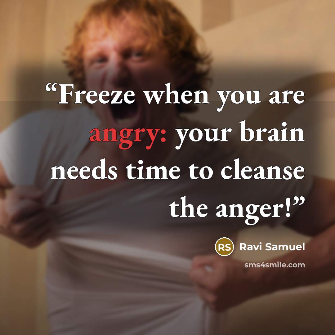 “Freeze when you are angry: your brain needs time to cleanse the anger!” quote by Ravi Samuel