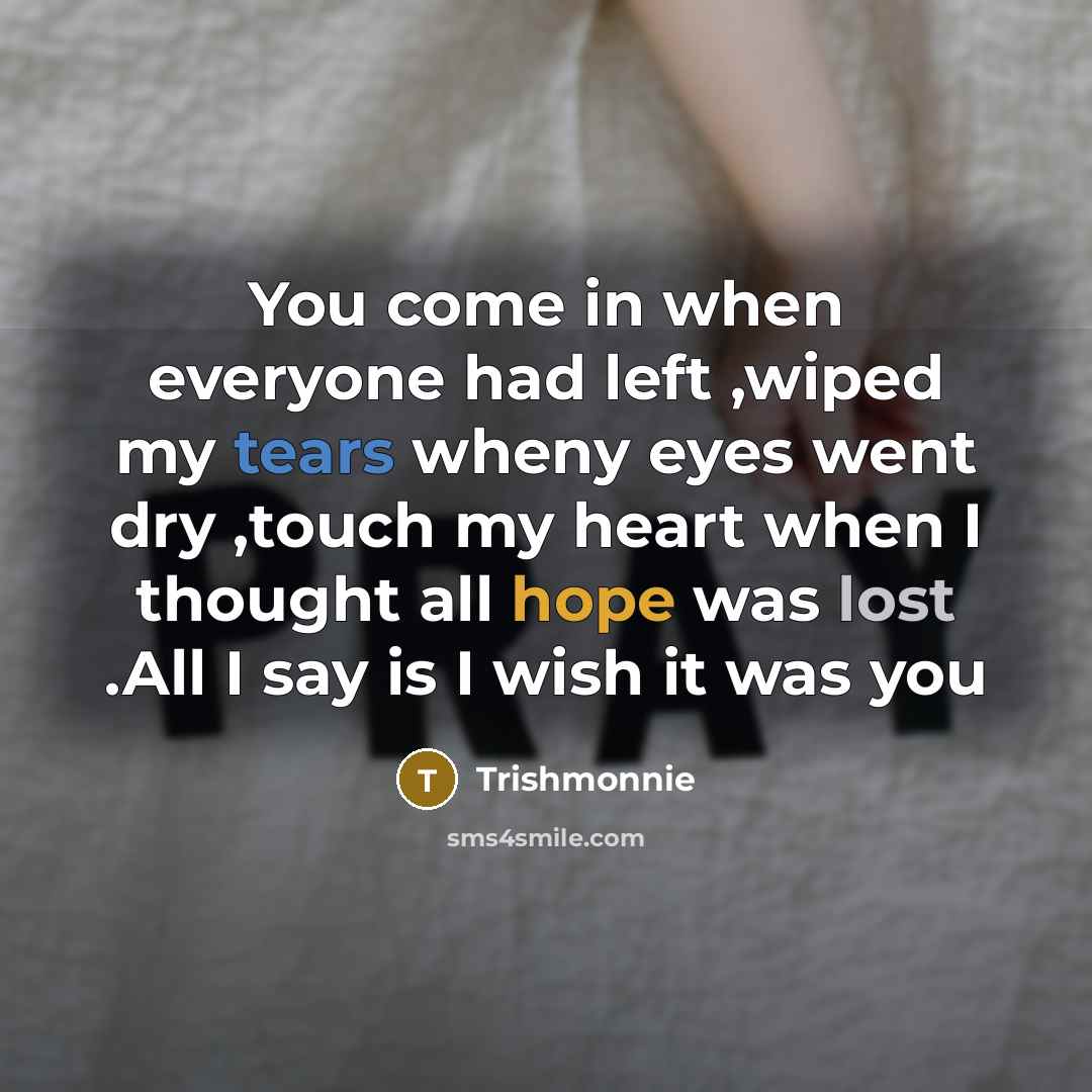 “You come in when everyone had left ,wiped my tears wheny eyes went dry ,touch my heart when I thought all hope was lost .All I say is I wish it was you” quote by Trishmonnie
