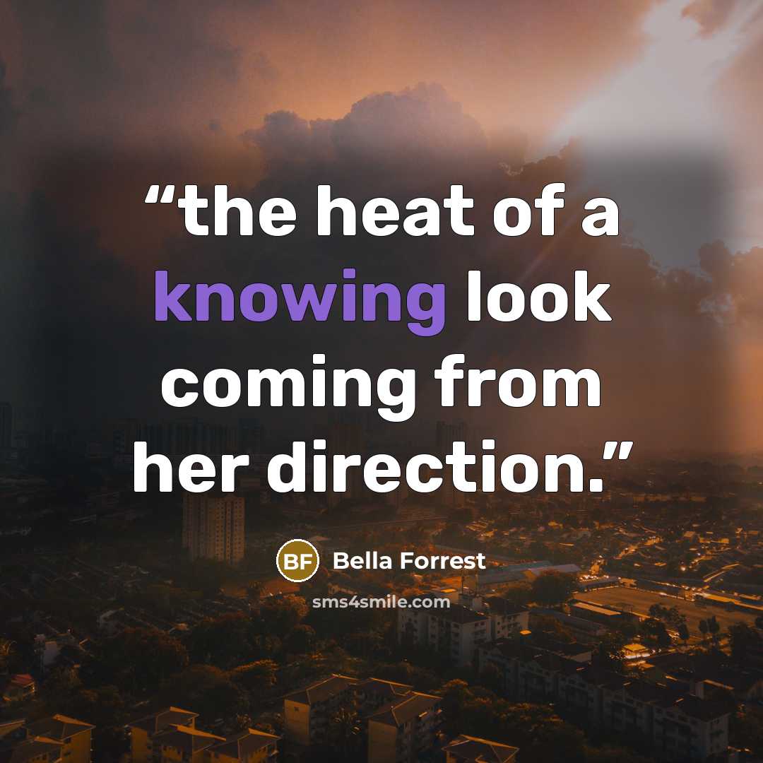 “the heat of a knowing look coming from her direction.” quote by Bella Forrest