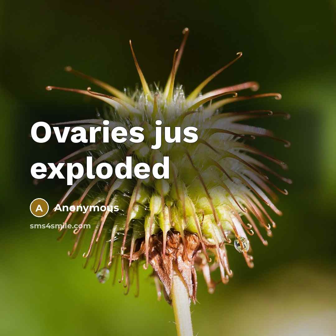 “Ovaries jus exploded” quote by Anonymous