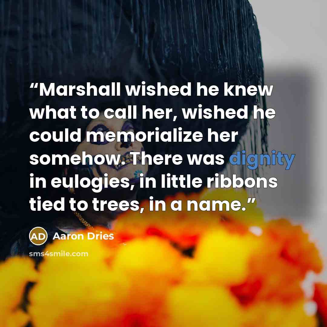 “Marshall wished he knew what to call her, wished he could memorialize her somehow. There was dignity in eulogies, in little ribbons tied to trees, in a name.” quote by Aaron Dries
