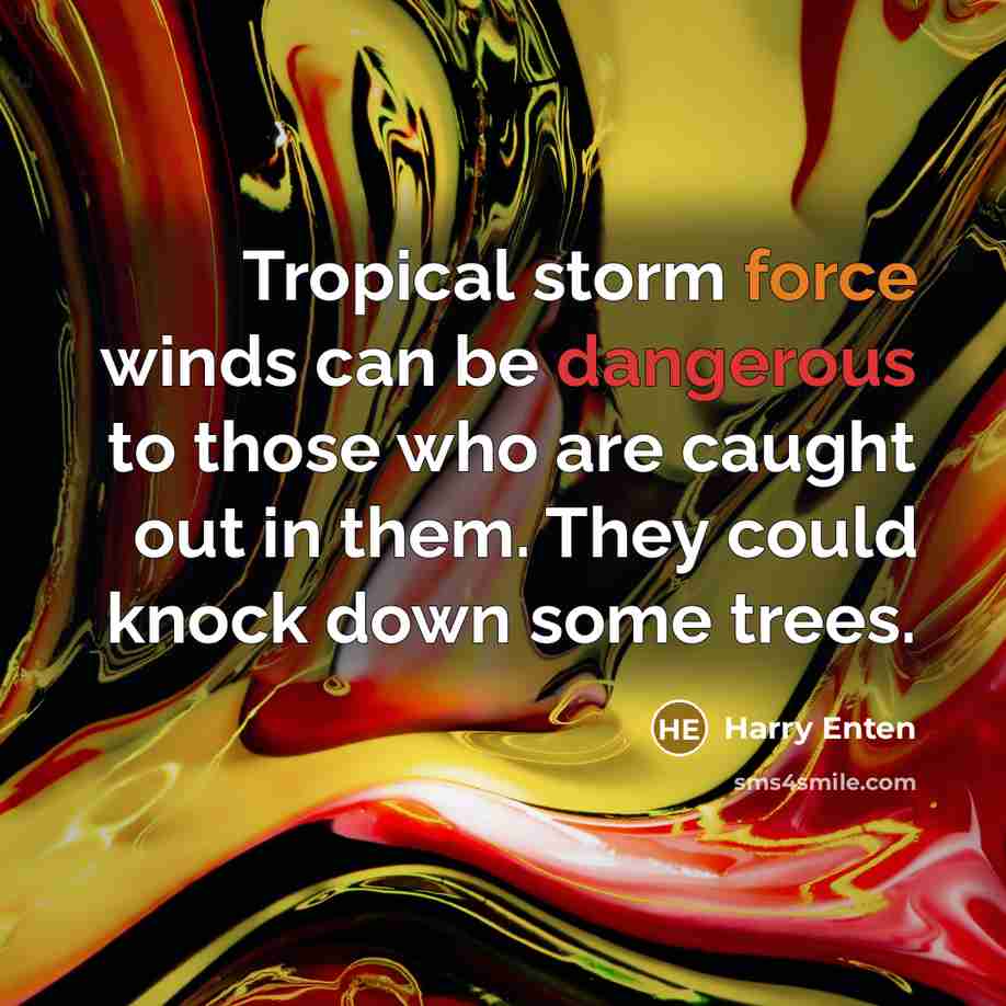 “Tropical storm force winds can be dangerous to those who are caught out in them. They could knock down some trees.” quote by Harry Enten