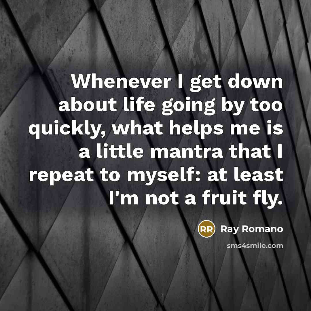 “Whenever I get down about life going by too quickly, what helps me is a little mantra that I repeat to myself: at least I'm not a fruit fly.” quote by Ray Romano
