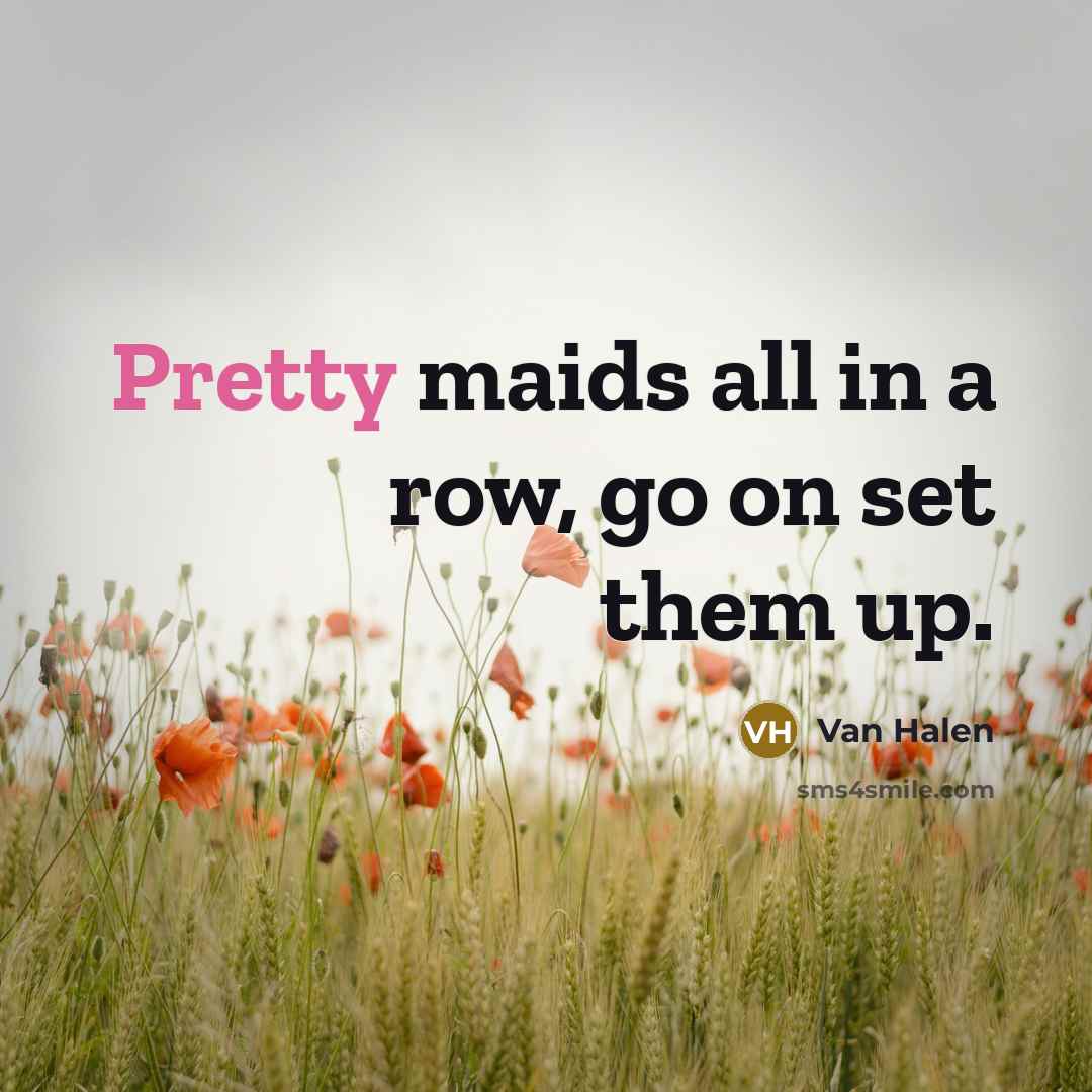 “Pretty maids all in a row, go on set them up.” quote by Van Halen