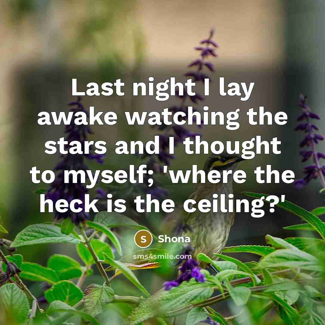 “Last night I lay awake watching the stars and I thought to myself; 'where the heck is the ceiling?'” quote by Shona
