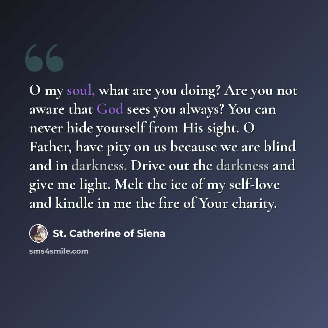 “O my soul, what are you doing? Are you not aware that God sees you always? You can never hide yourself from His sight. O Father, have pity on us because we are blind and in darkness. Drive out the darkness and give me light. Melt the ice of my self-love and kindle in me the fire of Your charity.” quote by St. Catherine of Siena
