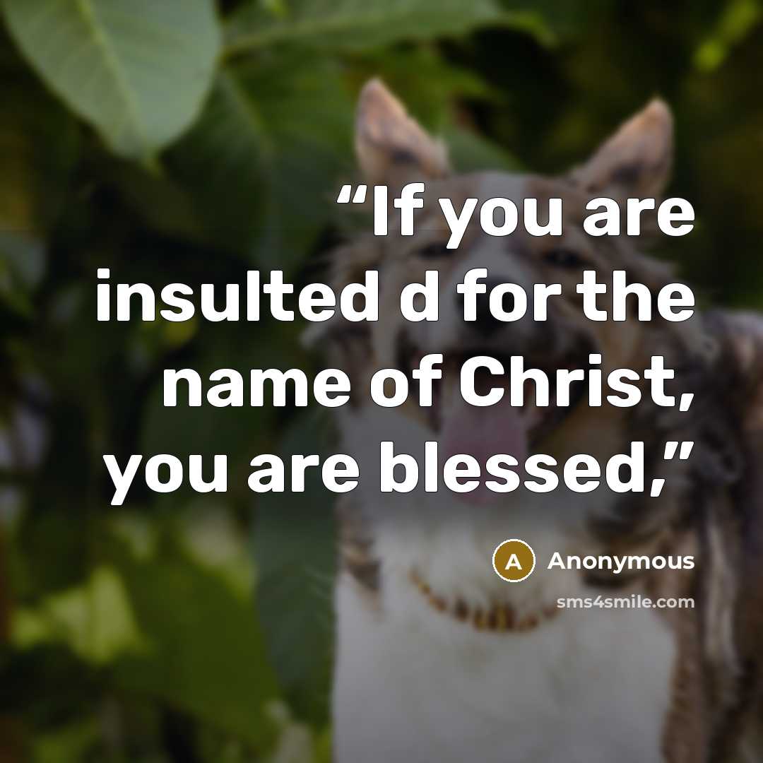 “If you are insulted d for the name of Christ, you are blessed,” quote by Anonymous