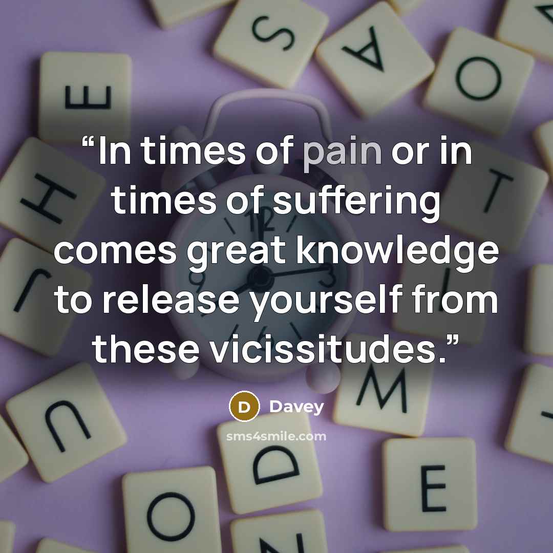“In times of pain or in times of suffering comes great knowledge to release yourself from these vicissitudes.” quote by Davey