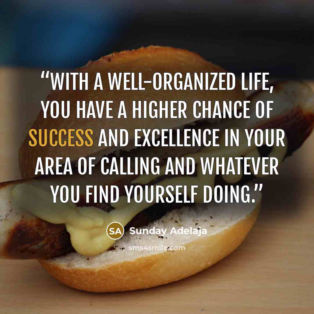 “With a well-organized life, you have a higher chance of success and excellence in your area of calling and whatever you find yourself doing.” quote by Sunday Adelaja