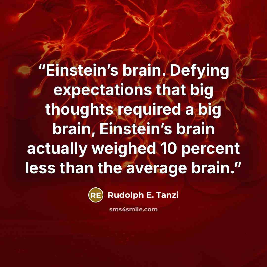 “Einstein’s brain. Defying expectations that big thoughts required a big brain, Einstein’s brain actually weighed 10 percent less than the average brain.” quote by Rudolph E. Tanzi