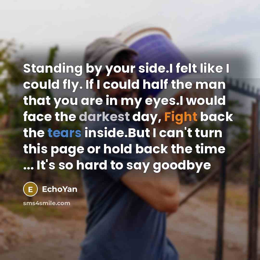 “Standing by your side.I felt like I could fly. If I could half the man that you are in my eyes.I would face the darkest day, Fight back the tears inside.But I can't turn this page or hold back the time ... It's so hard to say goodbye” quote by EchoYan