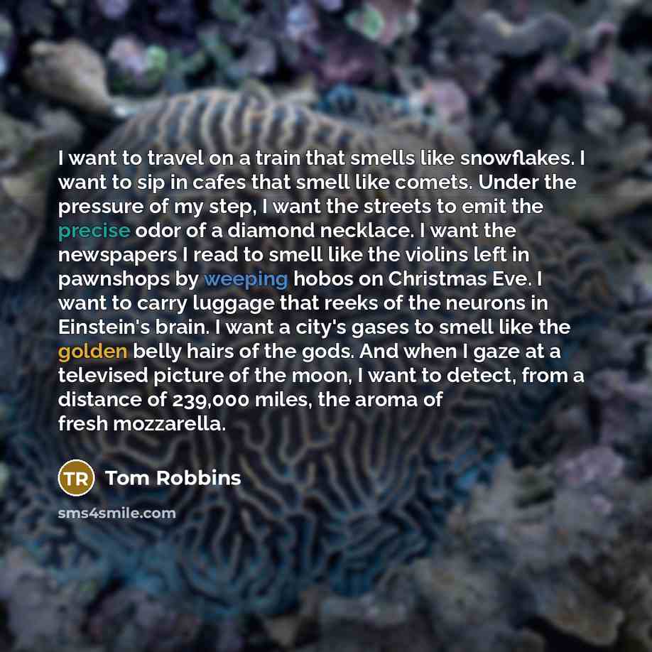 “I want to travel on a train that smells like snowflakes. I want to sip in cafes that smell like comets. Under the pressure of my step, I want the streets to emit the precise odor of a diamond necklace. I want the newspapers I read to smell like the violins left in pawnshops by weeping hobos on…” quote by Tom Robbins