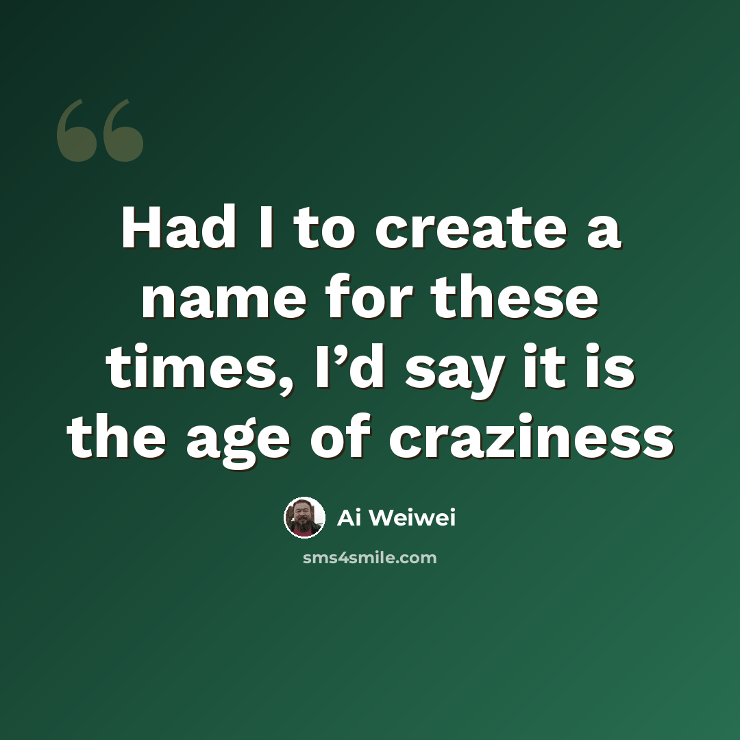 “Had I to create a name for these times, I’d say it is the age of craziness” quote by Ai Weiwei