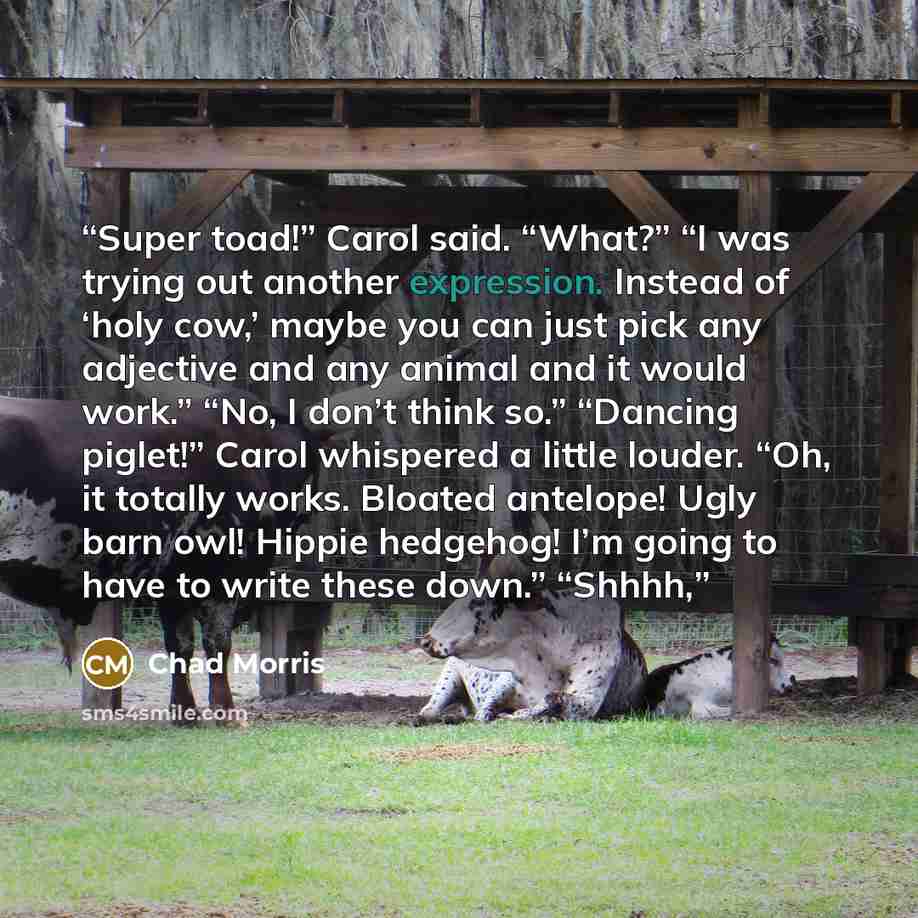 “Super toad!” Carol said. “What?” “I was trying out another expression. Instead of ‘holy cow,’ maybe you can just pick any adjective and any animal and it would work.” “No, I don’t think so.” “Dancing piglet!” Carol whispered a little louder. “Oh, it totally works. Bloated antelope! Ugly barn owl!…” quote by Chad Morris