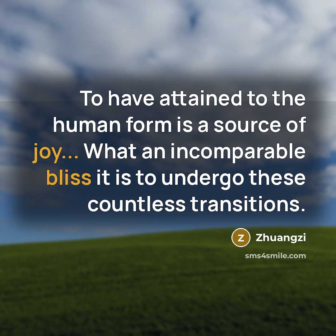 “To have attained to the human form is a source of joy... What an incomparable bliss it is to undergo these countless transitions.” quote by Zhuangzi