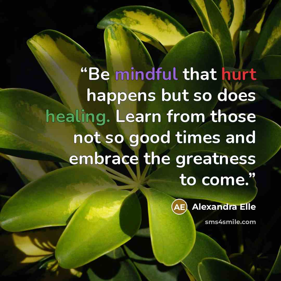 “Be mindful that hurt happens but so does healing. Learn from those not so good times and embrace the greatness to come.” quote by Alexandra Elle