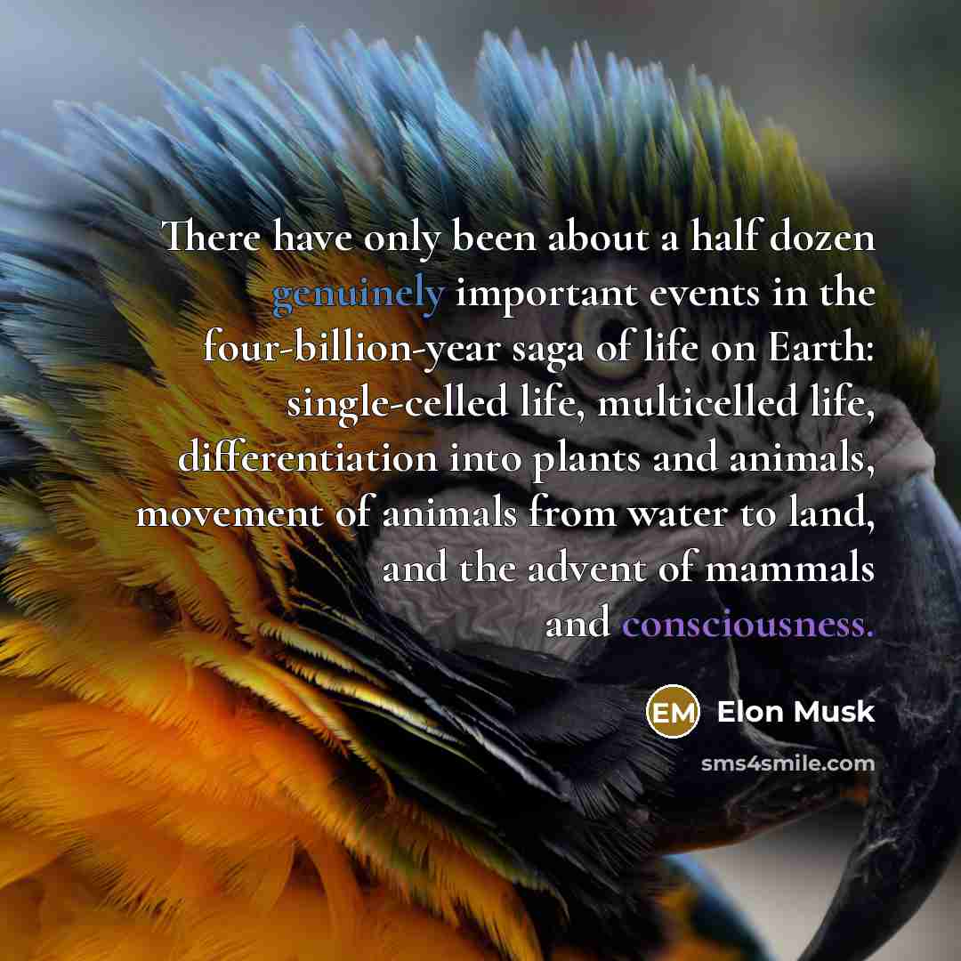“There have only been about a half dozen genuinely important events in the four-billion-year saga of life on Earth: single-celled life, multicelled life, differentiation into plants and animals, movement of animals from water to land, and the advent of mammals and consciousness.” quote by Elon Musk