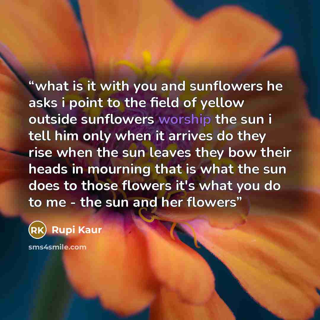 “what is it with you and sunflowers he asks i point to the field of yellow outside sunflowers worship the sun i tell him only when it arrives do they rise when the sun leaves they bow their heads in mourning that is what the sun does to those flowers it's what you do to me - the sun and her flowers” quote by Rupi Kaur