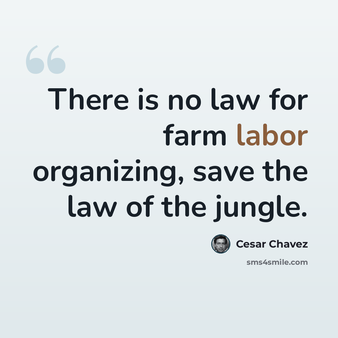 “There is no law for farm labor organizing, save the law of the jungle.” quote by Cesar Chavez