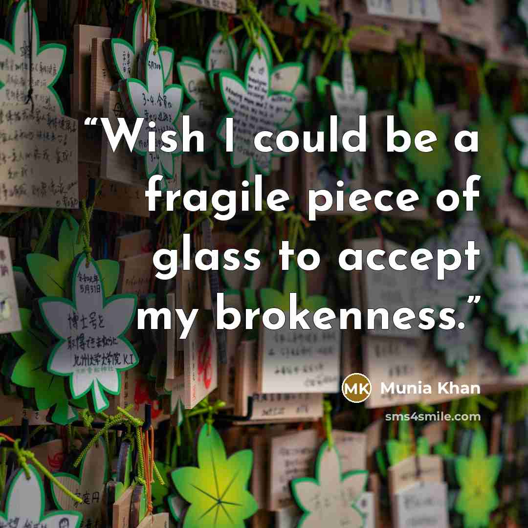 “Wish I could be a fragile piece of glass to accept my brokenness.” quote by Munia Khan