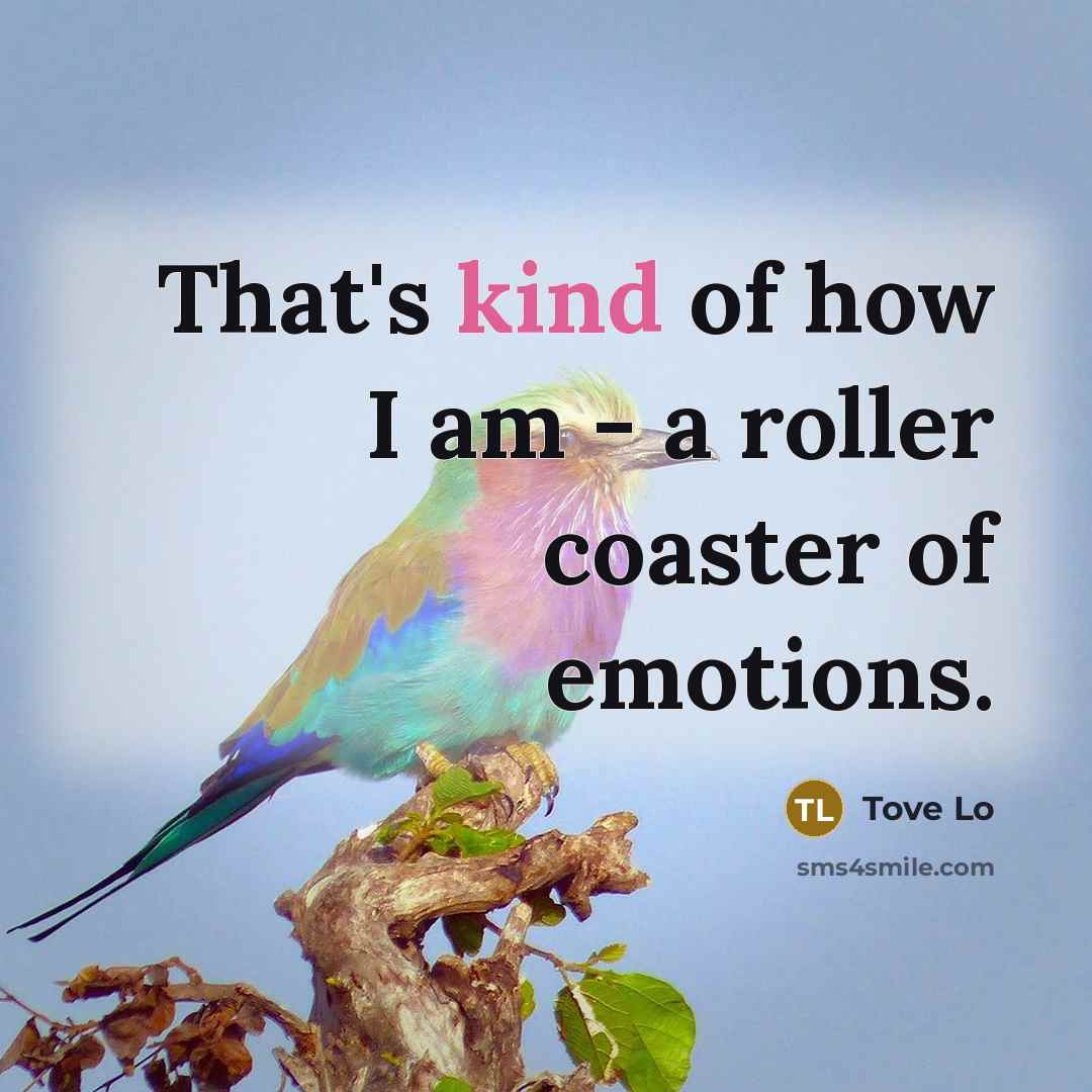 “That's kind of how I am - a roller coaster of emotions.” quote by Tove Lo