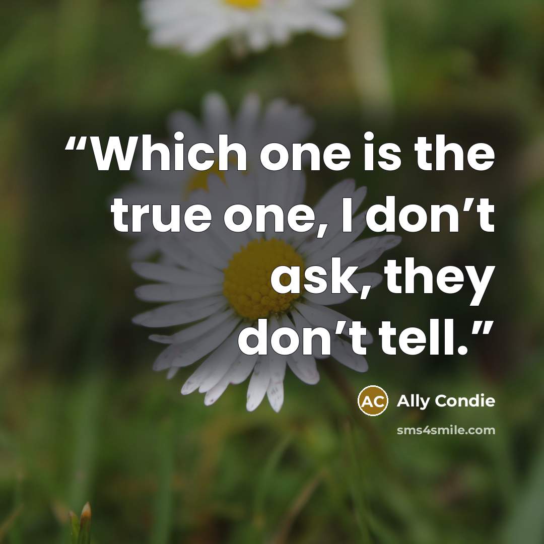 “Which one is the true one, I don’t ask, they don’t tell.” quote by Ally Condie