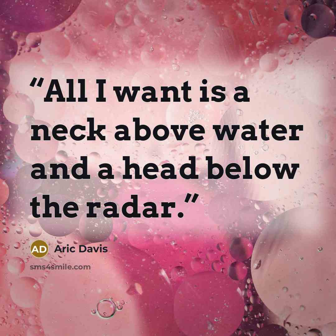 “All I want is a neck above water and a head below the radar.” quote by Aric Davis