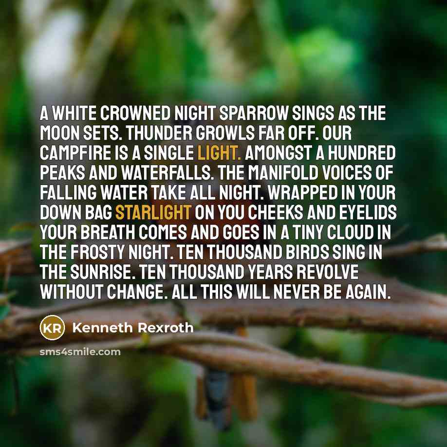 “A white crowned night sparrow sings as the moon sets. Thunder growls far off. Our campfire is a single light. Amongst a hundred peaks and waterfalls. The manifold voices of falling water Take all night. Wrapped in your down bag Starlight on you cheeks and eyelids Your breath comes and goes In a…” quote by Kenneth Rexroth