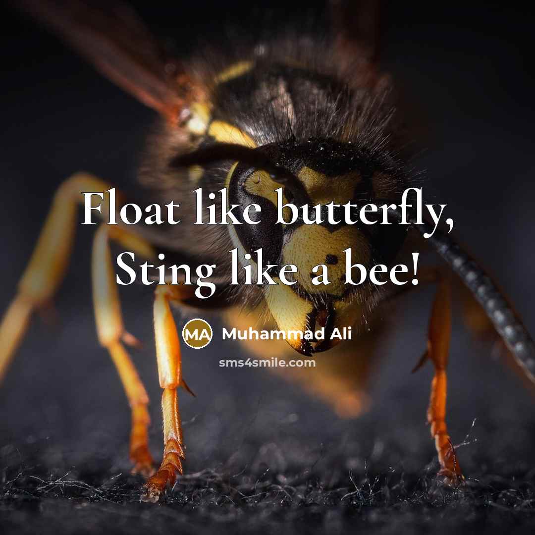 “Float like butterfly, Sting like a bee!” quote by Muhammad Ali
