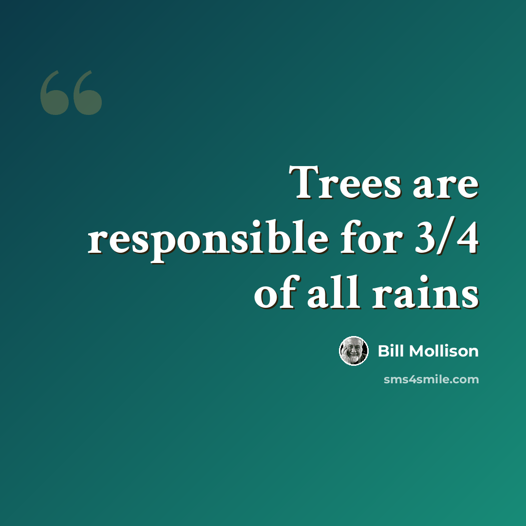 “Trees are responsible for 3/4 of all rains” quote by Bill Mollison