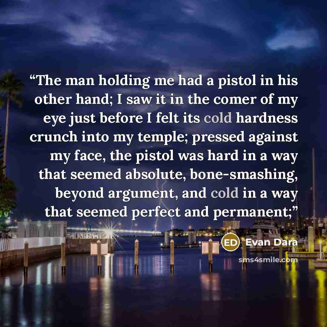 “The man holding me had a pistol in his other hand; I saw it in the comer of my eye just before I felt its cold hardness crunch into my temple; pressed against my face, the pistol was hard in a way that seemed absolute, bone-smashing, beyond argument, and cold in a way that seemed perfect and…” quote by Evan Dara