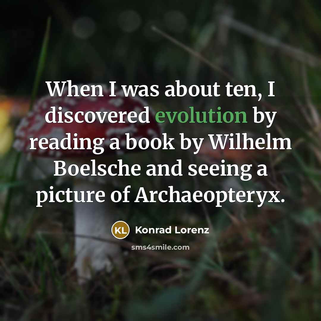 “When I was about ten, I discovered evolution by reading a book by Wilhelm Boelsche and seeing a picture of Archaeopteryx.” quote by Konrad Lorenz