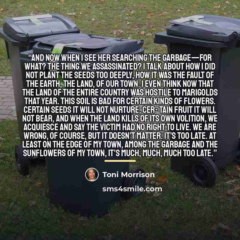 “And now when I see her searching the garbage—for what? The thing we assassinated? I talk about how I did not plant the seeds too deeply, how it was the fault of the earth, the land, of our town. I even think now that the land of the entire country was hostile to marigolds that year. This soil is…” quote by Toni Morrison
