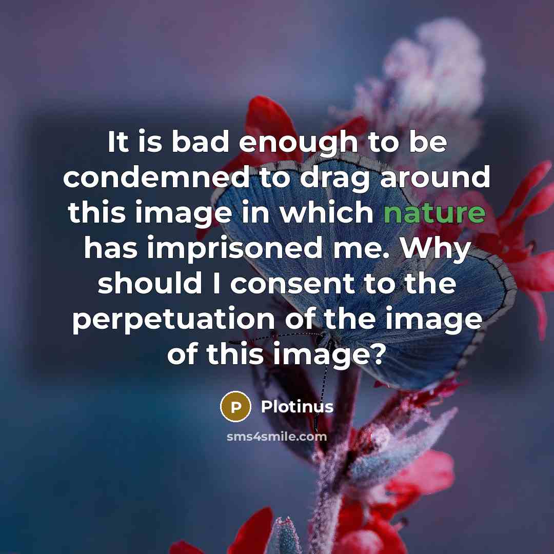 “It is bad enough to be condemned to drag around this image in which nature has imprisoned me. Why should I consent to the perpetuation of the image of this image?” quote by Plotinus