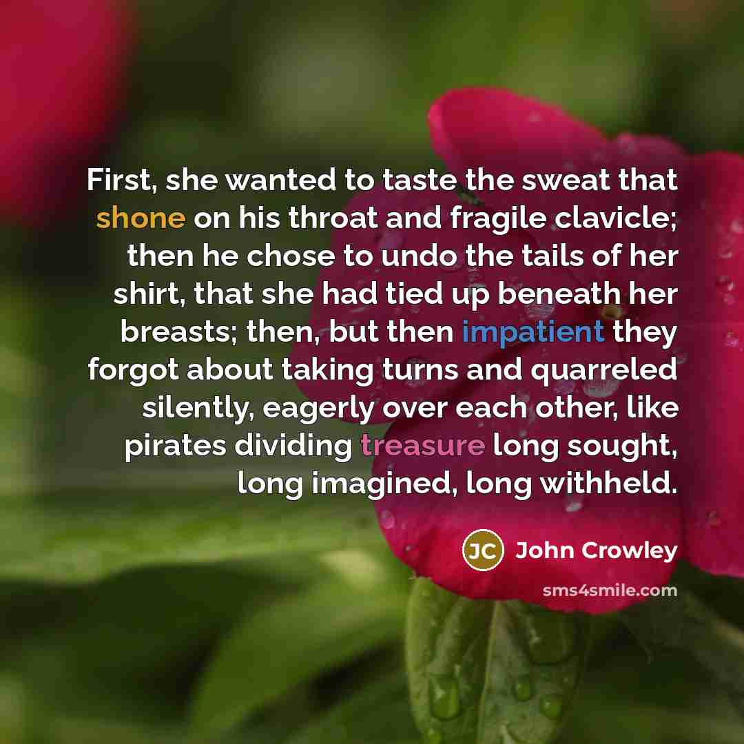 “First, she wanted to taste the sweat that shone on his throat and fragile clavicle; then he chose to undo the tails of her shirt, that she had tied up beneath her breasts; then, but then impatient they forgot about taking turns and quarreled silently, eagerly over each other, like pirates dividing…” quote by John Crowley