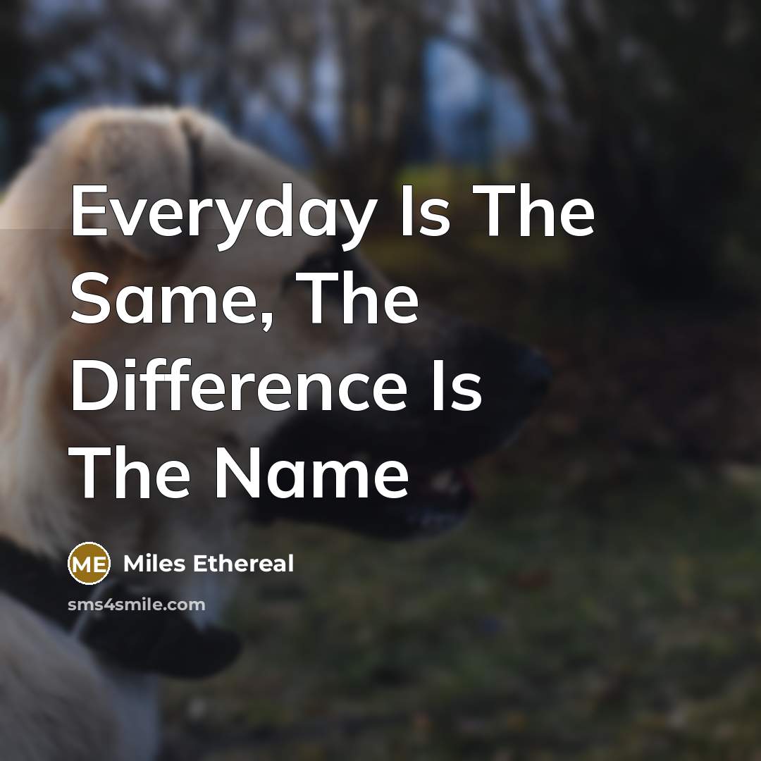 “Everyday Is The Same, The Difference Is The Name” quote by Miles Ethereal
