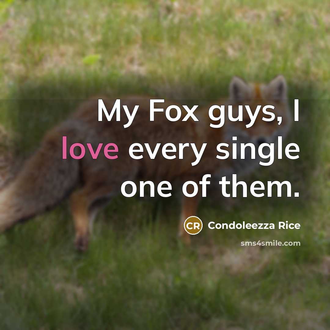 “My Fox guys, I love every single one of them.” quote by Condoleezza Rice