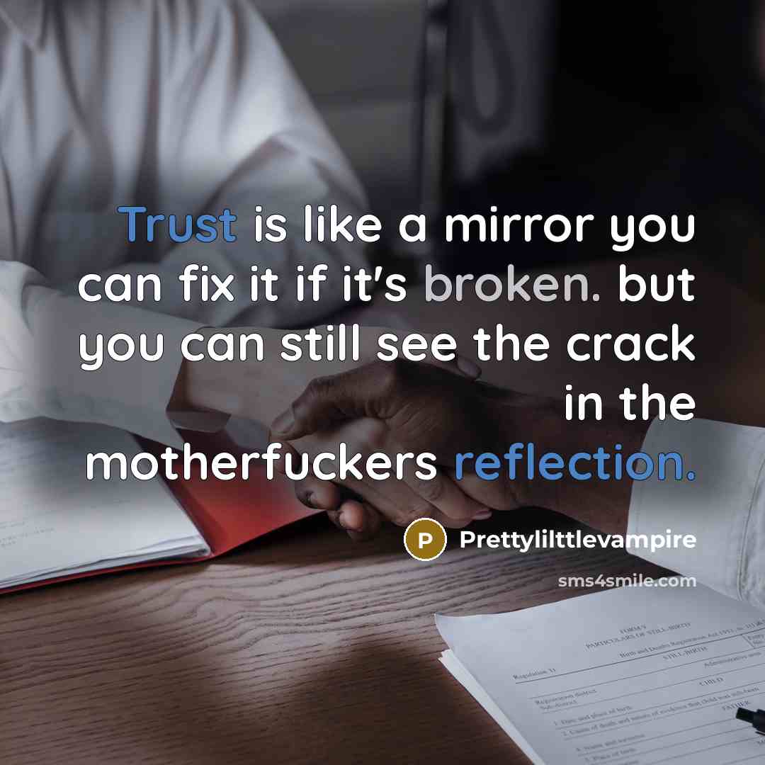 “Trust is like a mirror you can fix it if it's broken. but you can still see the crack in the motherfuckers reflection.” quote by Prettylilttlevampire