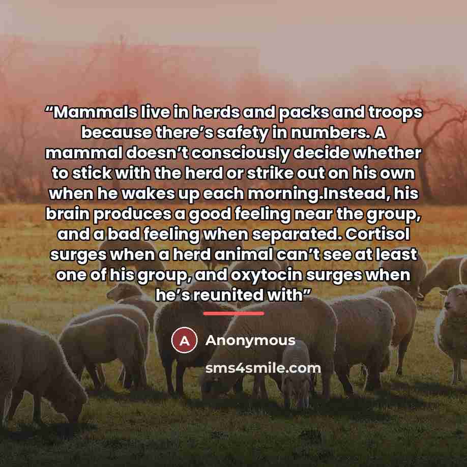 “Mammals live in herds and packs and troops because there’s safety in numbers. A mammal doesn’t consciously decide whether to stick with the herd or strike out on his own when he wakes up each morning.Instead, his brain produces a good feeling near the group, and a bad feeling when separated…” quote by Anonymous